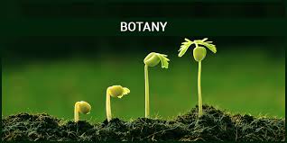 Botany one liner mcqs